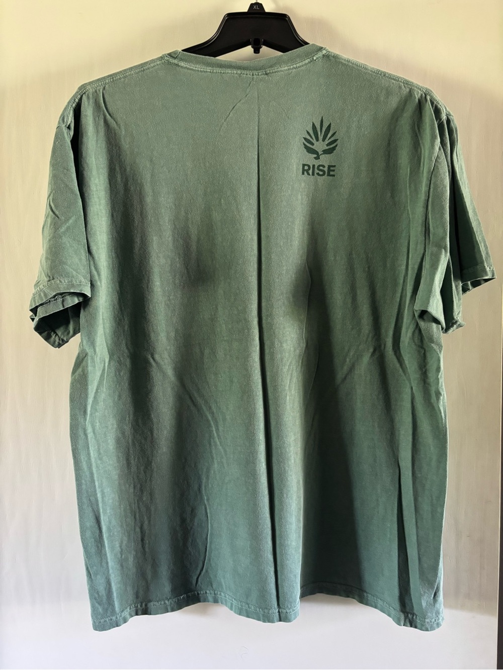 Comfort Colors Men's 'RISE' Short Sleeve Tee in Sage Green - Picture 4 of 5